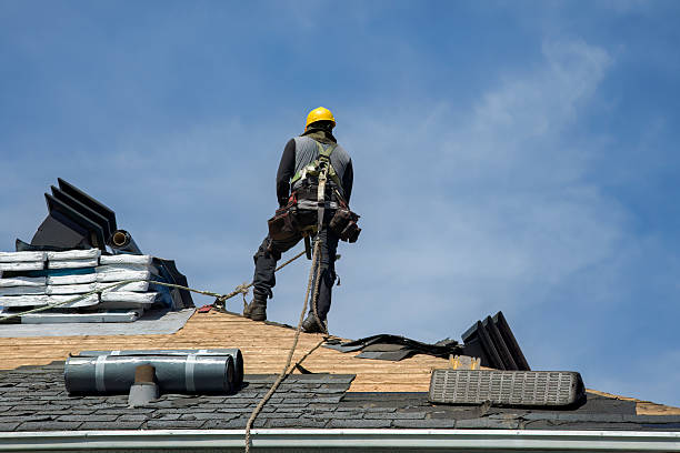 Professional Flat Roof Repair technician working in Dudley, NC